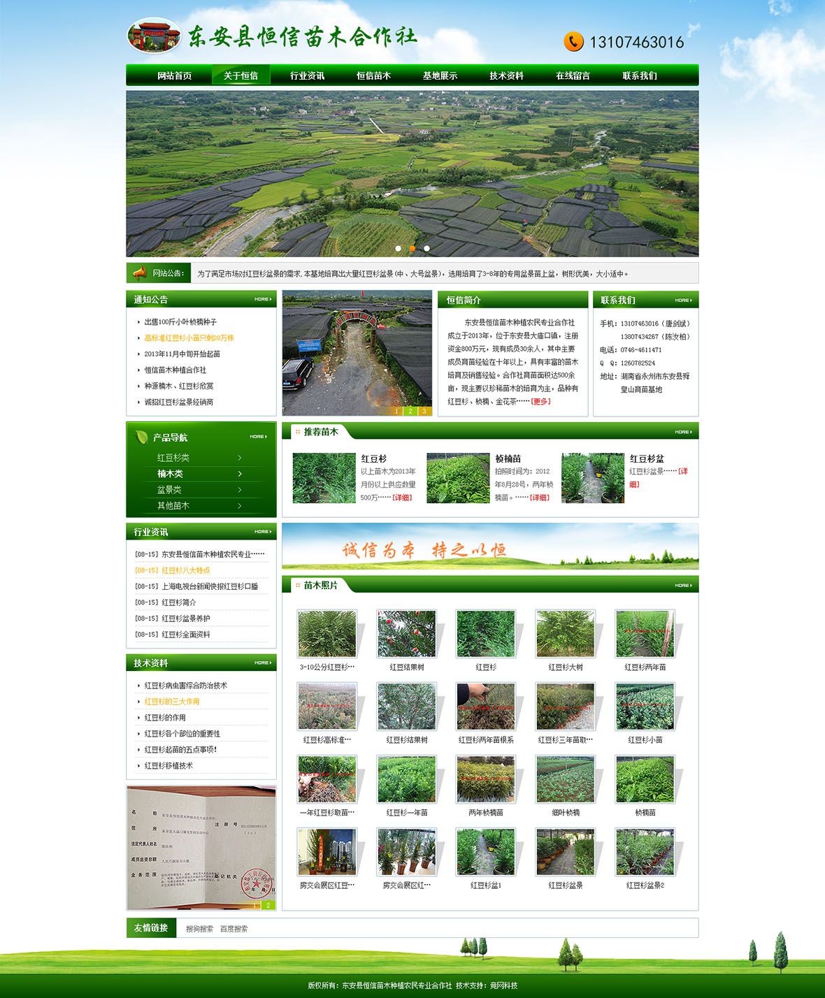 東安縣恒信苗木種植農民專業合作社