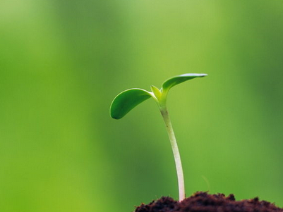 看“五福山莊”如何破解自然流量低迷困局