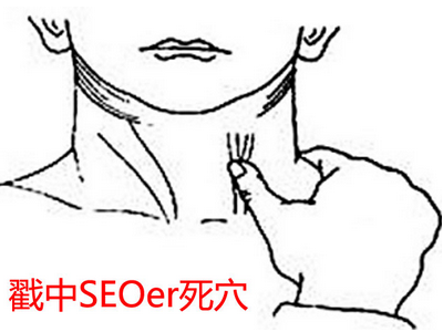 戳中SEOer死穴的網站”崛起之路”