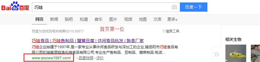 營(yíng)銷型網(wǎng)站成功案例：巧娃食品官網(wǎng)