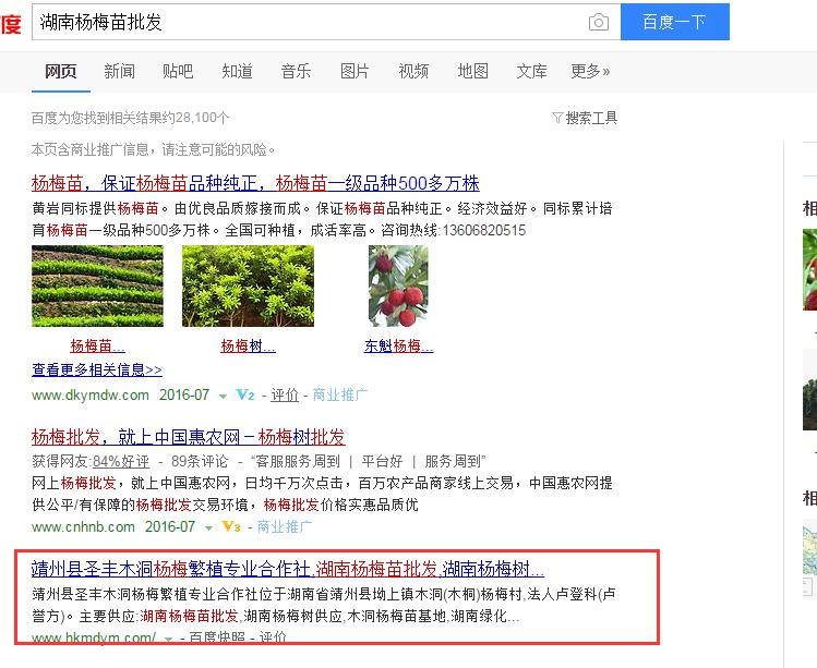 這樣做seo,靖州楊梅網站排名有盼頭 這樣做seo,靖州楊梅網站排名有盼頭