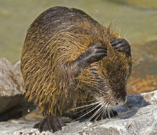 扭轉(zhuǎn)營銷格局，震驚郴州！看看你的企業(yè)能不能做到？