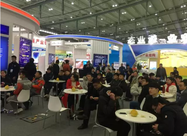 競網愛心助農聯盟：安江小苦柚農博會專場推介引關注