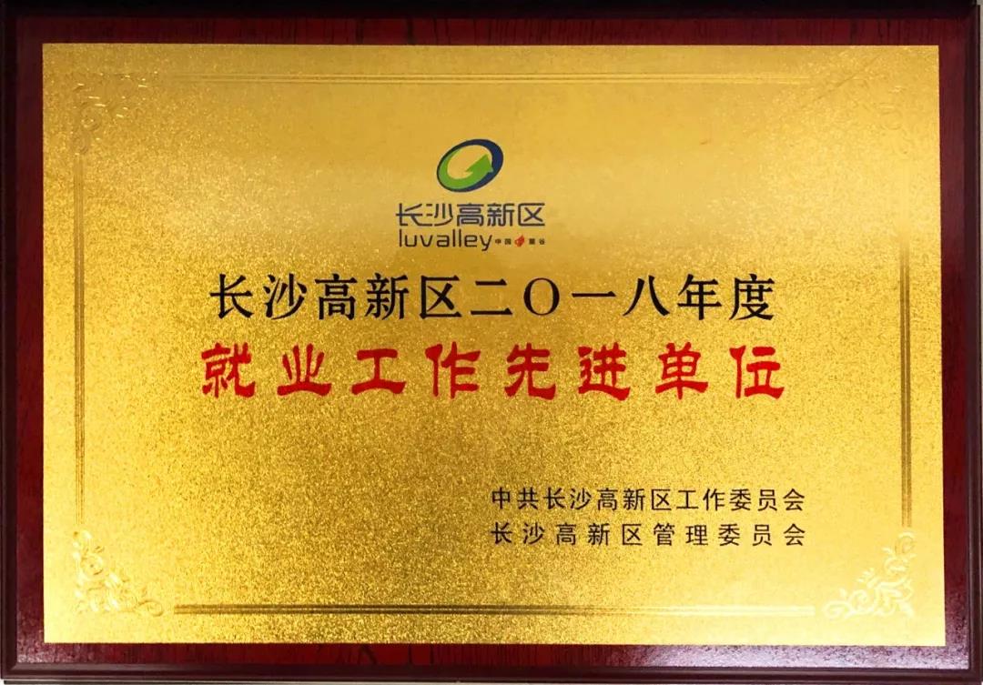 競網獲長沙高新區2018年度“就業工作先進單位”稱號！